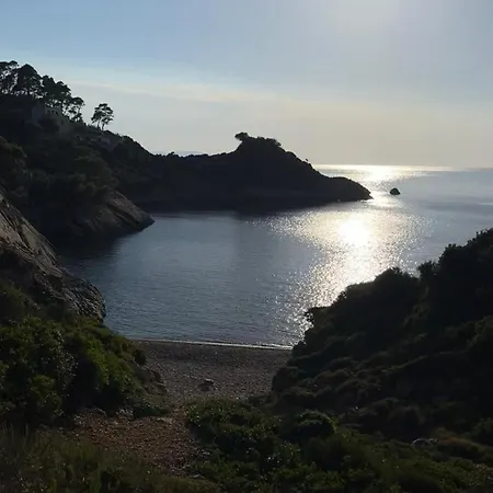 Luxury & Sustainable On The Sea ヴィラ Alónnisos