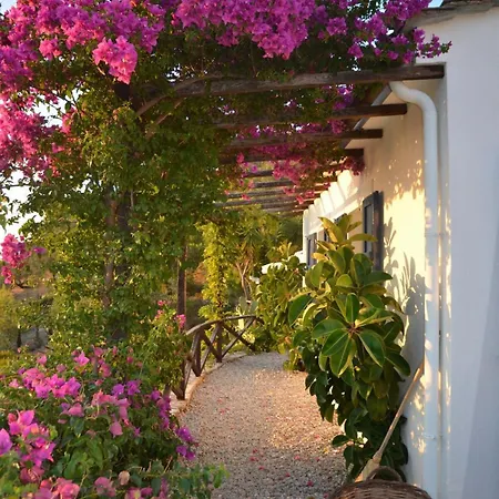 Luxury & Sustainable On The Sea * Alónnisos